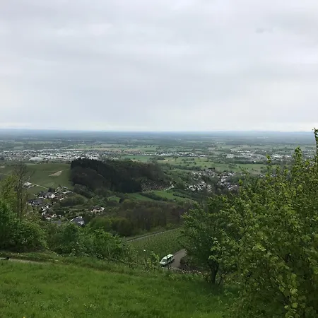Schwarzwald Glueck * 불
