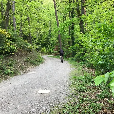 아파트 Schwarzwald Glueck
