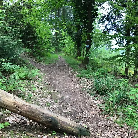 Schwarzwald Glueck * 불