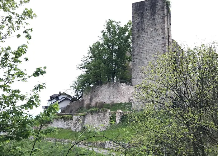 Apartment Schwarzwald Glueck *